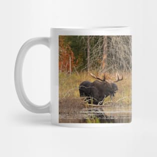 Smiling Moose, Algonquin park Mug